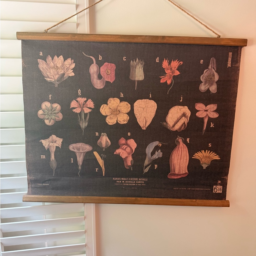 Botanical Wall Art Hanging in Black and Pink